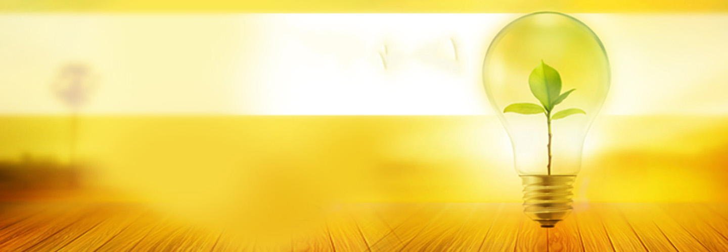 slider-image